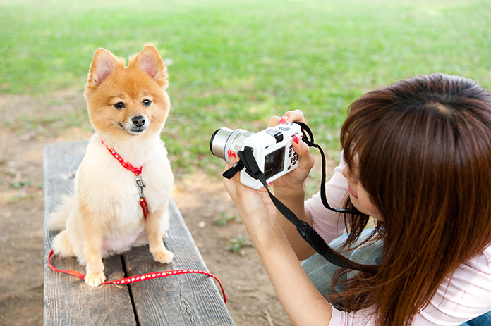 写メ撮影